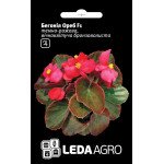 Бегония Ореб F1 /10 семян/ *LedaAgro*