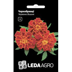 Чорнобривці Червона вишня /0,25 г/ *LedaAgro*
