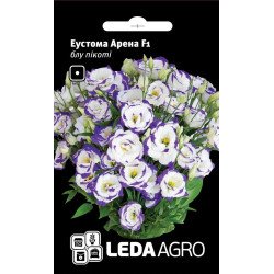 Еустома Арена F1 блу пікоті /5 насінин/ *LedaAgro*