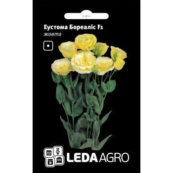 Эустома Бореалис F1 желтая /5 семян/ *LedaAgro*