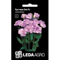 Еустома Ехо F1 лавандова /5 насінин/ *LedaAgro*