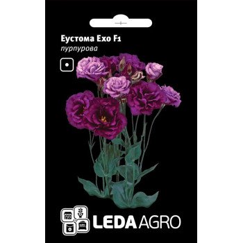 Еустома Ехо F1 пурпурова /5 насінин/ *LedaAgro*