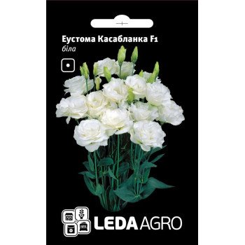Эустома Касабланка F1 белая /5 семян/ *LedaAgro*