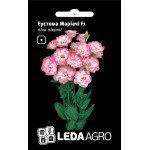 Еустома Маріачі F1 пінк Пікоті /5 насінин/ *LedaAgro*