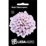 Иберис Гибралтарика /0,3 г/ *LedaAgro*