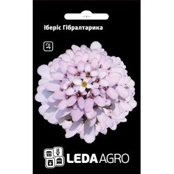 Іберіс Гібралтаріка /0,3 г/ *LedaAgro*