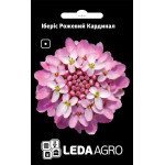 Іберіс Рожевий Кардинал /0,5 г/ *LedaAgro*