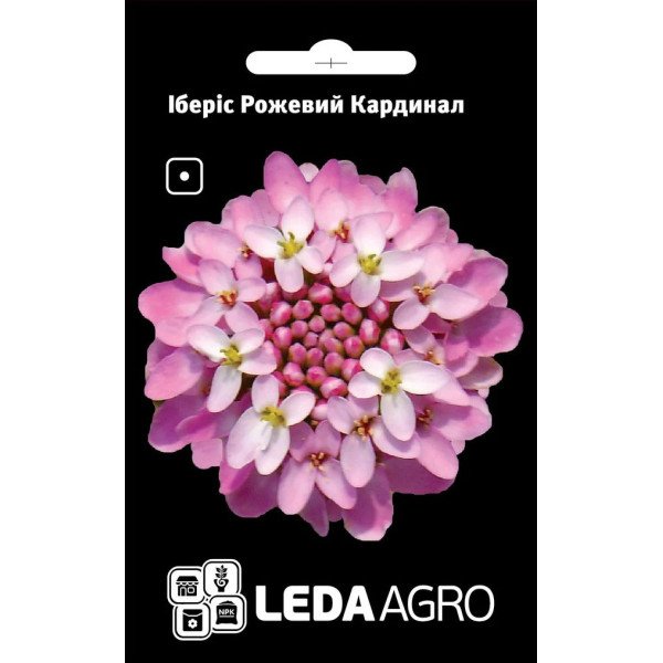Насіння іберісу Рожевий Кардинал /0,5 г/ *LedaAgro*