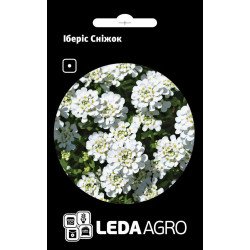 Иберис Снежок /0,5 г/ *LedaAgro*