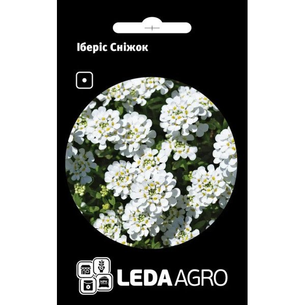 Насіння іберісу Сніжок /0,5 г/ *LedaAgro*