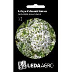 Алиссум Снежный ковер /0,2 г/ *LedaAgro*