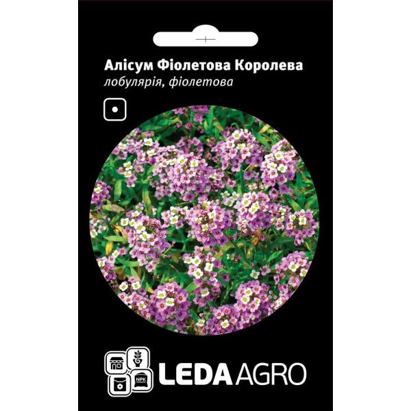 Насіння аліссума Фіолетова королева /0,2 г/ *LedaAgro*