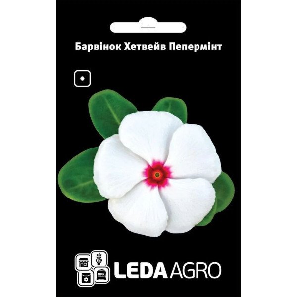 Насіння катарантуса Хетвейв Пепермінт /10 насінин/ *LedaAgro*