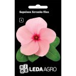 Катарантус Хетвейв Пінк /10 насінин/ *LedaAgro*