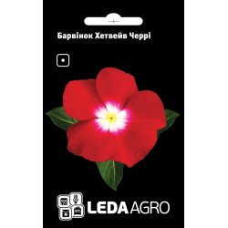 Катарантус Хетвейв Черрі /10 насінин/ *LedaAgro*