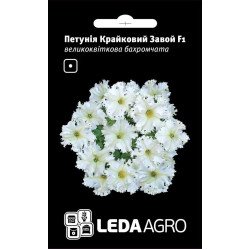 Петунія Крайковий Завой F1 /10 насінин/ *LedaAgro*