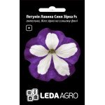 Петунія Лавина F1 синя зірка /10 насінин/ *LedaAgro*