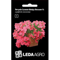 Петуния Вельвет Салмон Шейдз F1 /5 семян/ *LedaAgro*