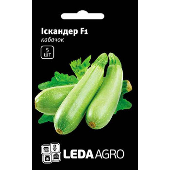 Кабачок Іскандер F1 /5 насінин/ *LedaAgro*