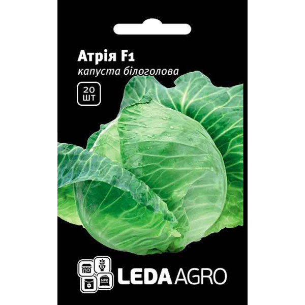 Семена капусты белокочанной Атрия F1 /20 семян/ *LedaAgro*