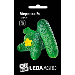 Огірок Меренга F1 /10 насінин/ *LedaAgro*