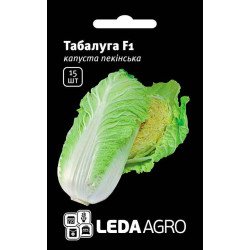 Капуста пекінська Табалуга F1 /15 насінин/ *LedaAgro*