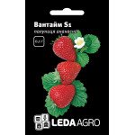 Полуниця Вантайм F1 /0,02 г/ *LedaAgro*