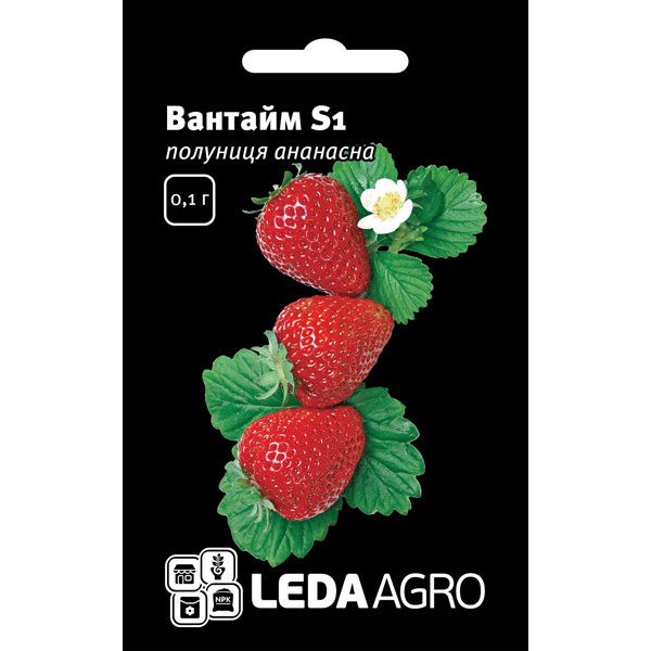 Насіння полуниці Вантайм F1 /0,02 г/ * LedaAgro *