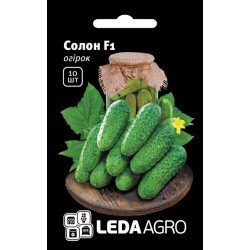 Огурец Солон F1 /10 семян/ *LedaAgro*