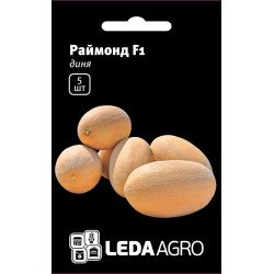 Дыня Раймонд F1 /5 семян/ *LedaAgro*