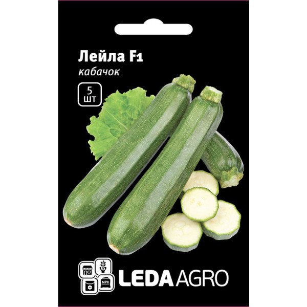 Семена кабачка Лейла F1 /5 семян/ *LedaAgro*