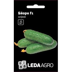 Огірок Бйорн F1 /10 насінин/ *LedaAgro*