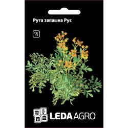 Рута запашна Рує /0,2 г/ *LedaAgro*