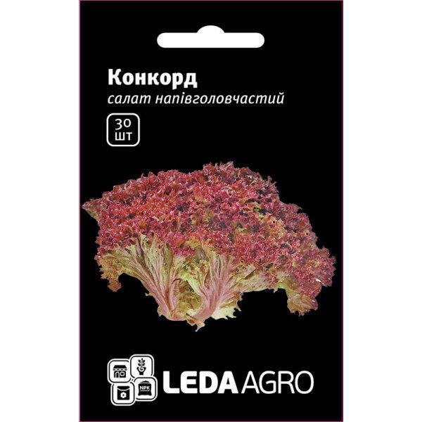 Семена салата Конкорд /30 семян/ *LedaAgro*