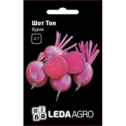 Свекла Шот Топ /2 г/ *LedaAgro*