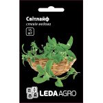 Стевия медовая Свитлайф /15 семян/ *LedaAgro*