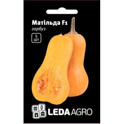 Тыква Матильда F1 /5 семян/ *LedaAgro*