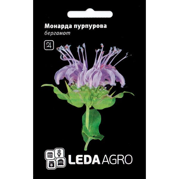 Насіння монарди пурпурова Бергамот /0,3 г/ *LedaAgro*