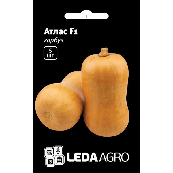 Семена тыквы Атлас F1 /5 семян/ *LedaAgro*