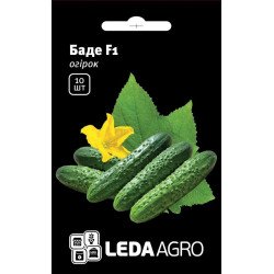 Огурец Баде F1 /10 семян/ *LedaAgro*