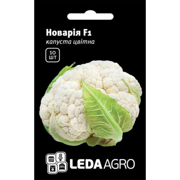 Семена капусты цветной Новария F1 /10 семян/ *LedaAgro*
