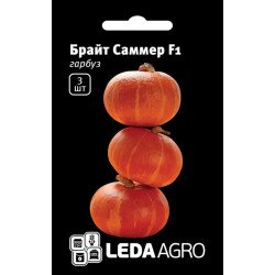 Гарбуз Брайт Саммер F1 /3 насінини/ *LedaAgro*