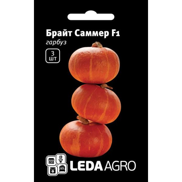 Семена тыквы Брайт Саммер F1 /3 семечка/ *LedaAgro*