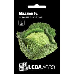 Капуста савойська Мадлен F1 /15 насінин/ *LedaAgro*