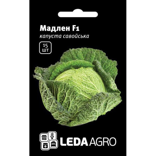 Семена капусты савойской Мадлен F1 /15 семян/ *LedaAgro*