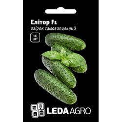 Огурец Элитор F1 /10 семян/ *LedaAgro*