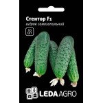 Огірок Стентор F1 /10 насінин/ *LedaAgro*