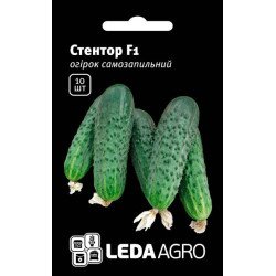 Огурец Стентор F1 /10 семян/ *LedaAgro*