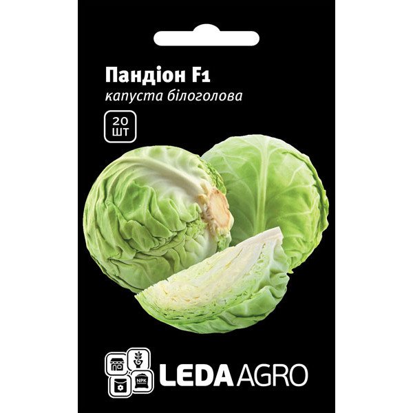 Насіння капусти білоголової Пандіон F1 /20 насінин/ *LedaAgro*
