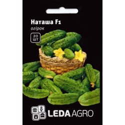 Огірок Наташа F1 /20 насінин/ *LedaAgro*
